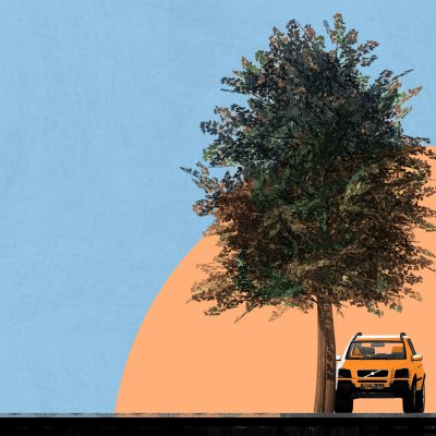 Profesionalidad Arqcubo