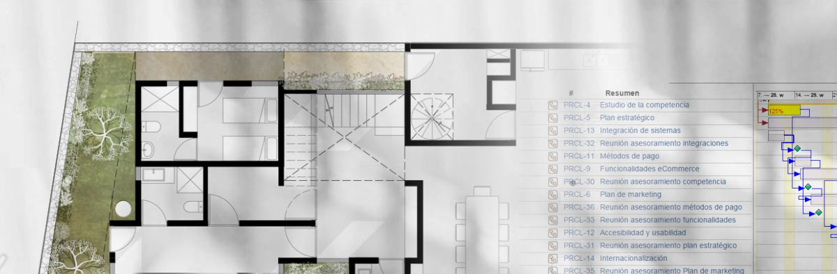 Servicio Estudio de viabilidad económica